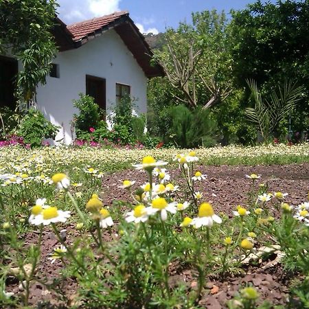 Engin Pension Чирали Экстерьер фото