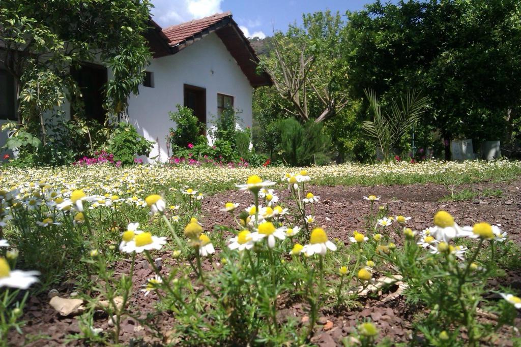 Engin Pension Чирали Экстерьер фото