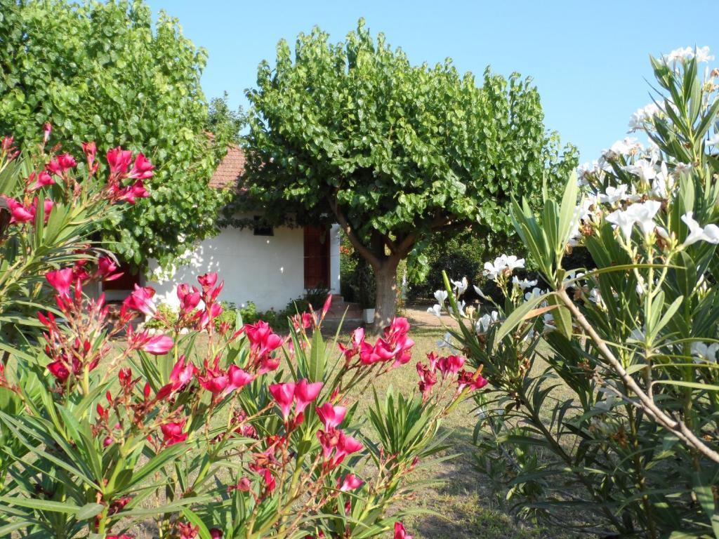 Engin Pension Чирали Экстерьер фото